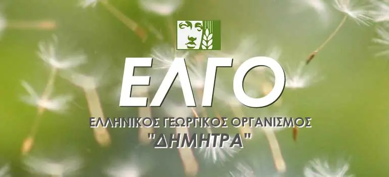 ΕΛΓΟ