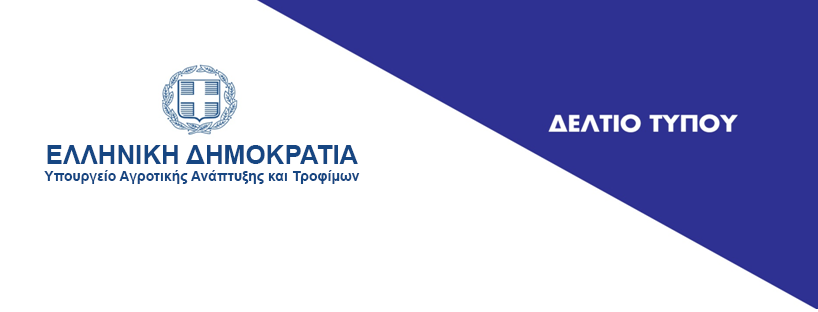 EPIKEFALIDA2020