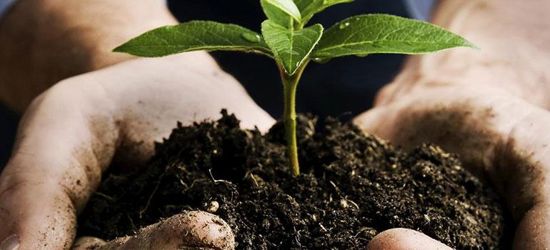 Κατευθυντήριες Οδηγίες για Ελεγκτικές Αρχές στα Φυτοπροστατευτικά Προϊόντα