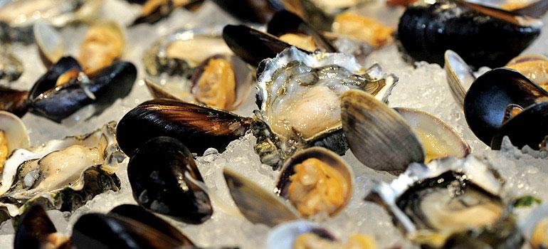 Αττική (αποφάσεις για δίθυρα μαλάκια)