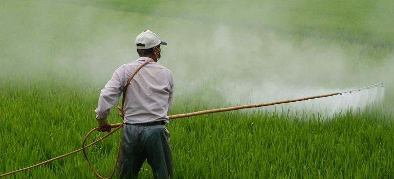 Εθνικό Σχέδιο Δράσης για την Ορθολογική Χρήση των Γεωργικών Φαρμάκων