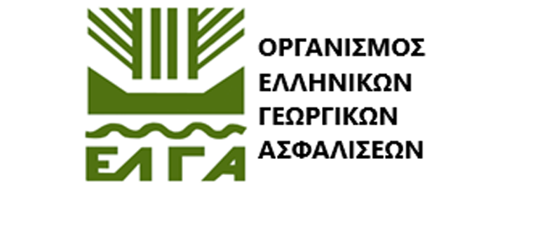 elga 231123