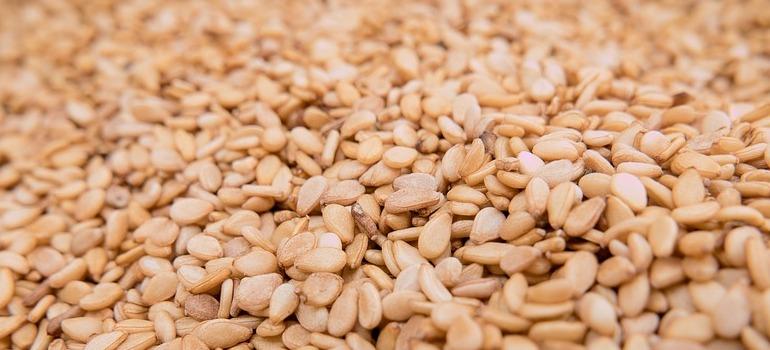 Ειδική μεταχείριση σπόρων σουσαμιού (ειδική ενωσιακή νομοθεσία) - παρουσία σαλμονέλλας