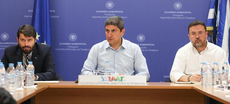 fototypos1306244