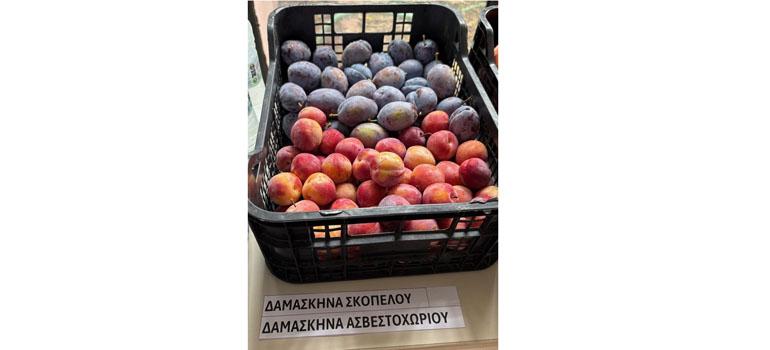 fototypos1208254 fototypos1208254