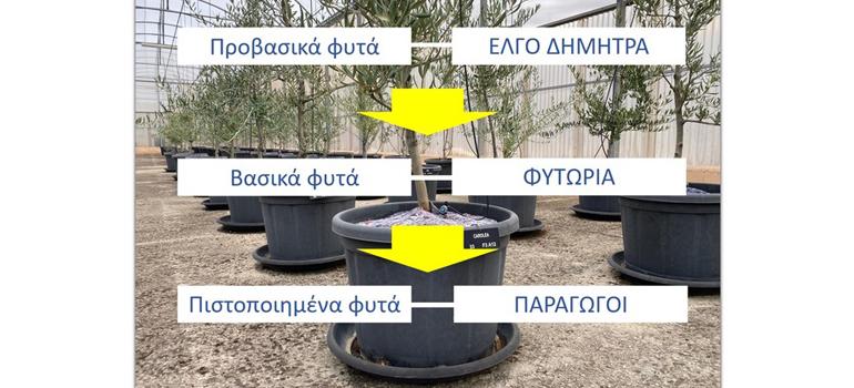 fototypos1111252 fototypos1111252