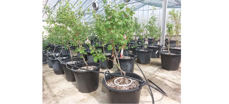 fototypos1111254 fototypos1111254