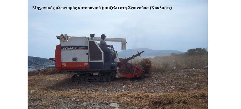 8programmagenetikousporous0302262