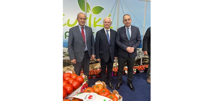 fototypos0703264 fototypos0703264