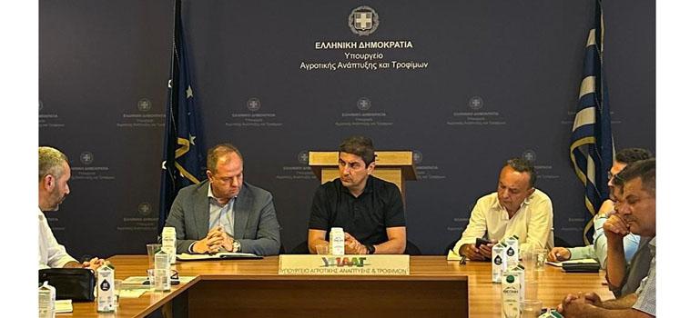 fototypos0908232
