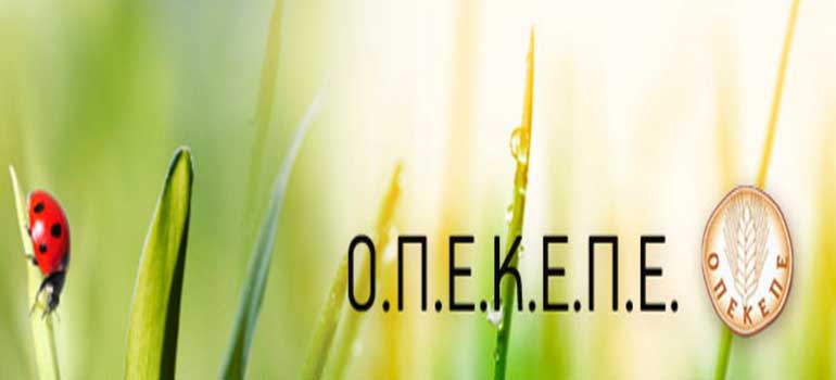 Οργανισμός Πληρωμών και Ελέγχου Κοινοτικών Ενισχύσεων Προσανατολισμού και Εγγυήσεων
