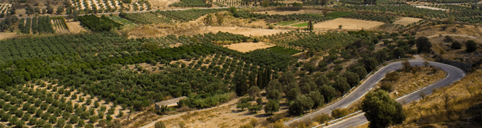 261483minagric fields