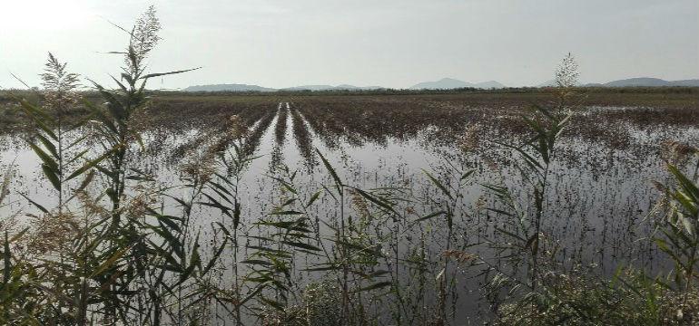 foto typos261016a 1 1