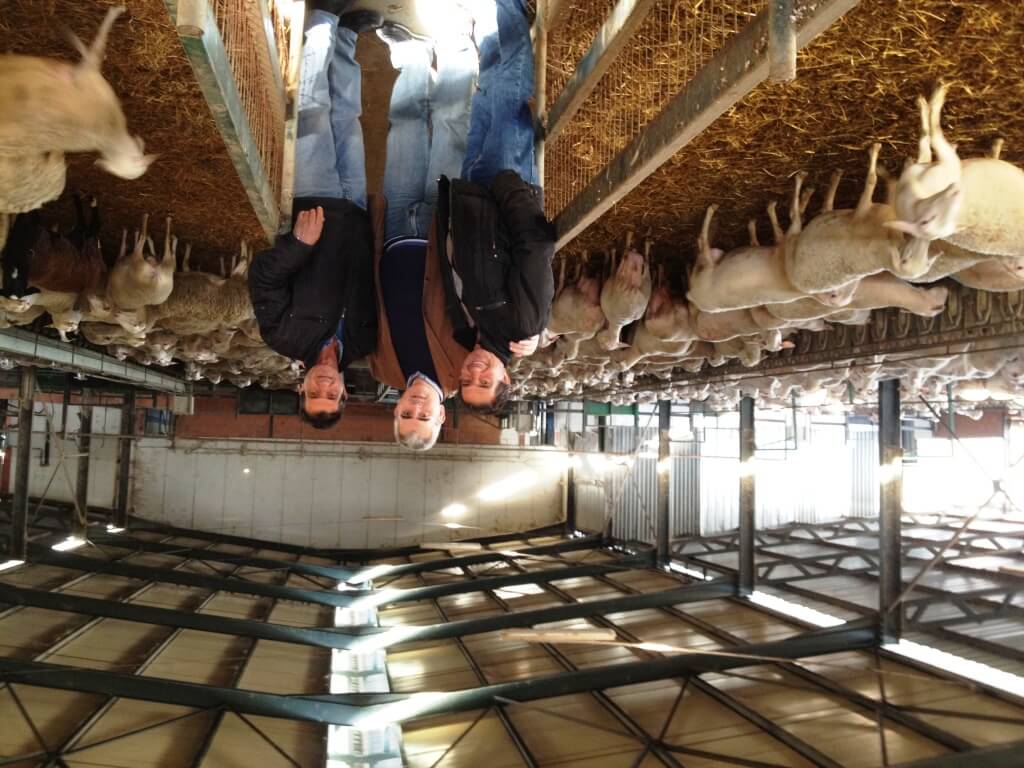 foto typos270113 xarakopoulos