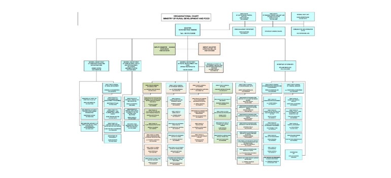 organogramma_tsiaras120824_en